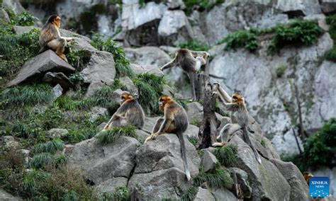 玉合公園裡的鳥鳴聲與靜謐